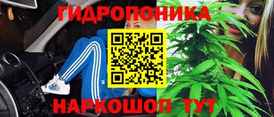 apvp Рыбинск
