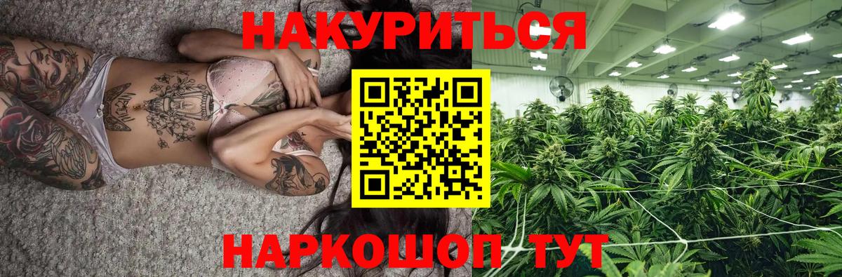 Канабис сатива Новочеркасск